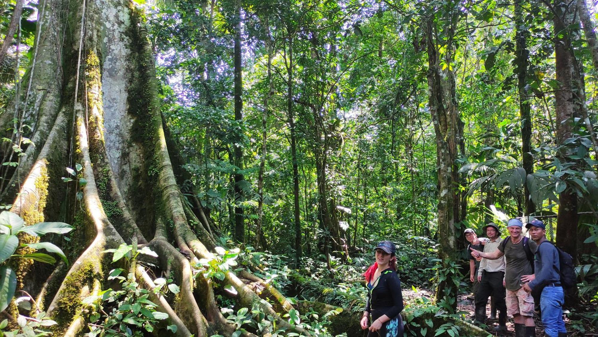 Gaia Amazon Eco Lodge Ahuano Exterior photo